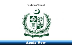 Jobs in Ministry of Federal Education & Professional Training (FE&PT) 2020
