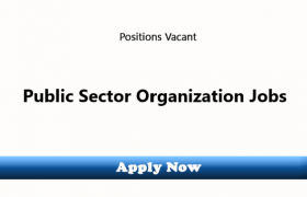 Jobs in a Public Sector Development Project KPK 2020
