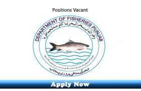 Jobs in Government of Punjab Fisheries Department 2020 Apply Now