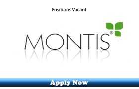 Jobs in Montis Lahore 2019 Apply Now