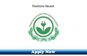 Jobs in Punjab Energy Efficiency And Conservation Agency PEECA Energy Department Govt of Punjab 2019 Apply Now