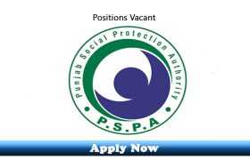 Jobs in Punjab Social Protection Authority 2019 Apply Now