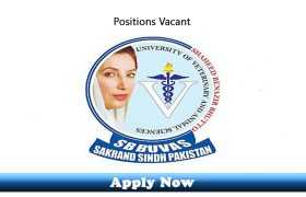 Jobs in Shaheed Benazir Bhutto University of Veterinary and Animal Sciences 2019 Apply Now