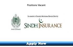 Jobs in Sindh Insurance Pvt Ltd 2020 Apply Now