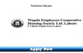 Jobs in WAPDA Employees Cooperative Housing Society WECHS Ltd Lahore 2019 Apply Now