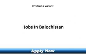 Project Jobs in Balochistan 2019 Apply Now