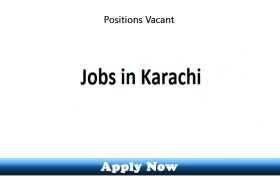 Jobs in a Healthcare Organization Karachi 2020