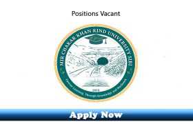 Administrative and Faculty Positions Vacant in Mir Chakar Khan Rind University Sibi 2019 Apply Now