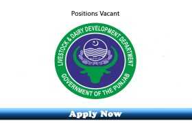 Jobs in Punjab Dairy Development Board PLDDB 2019 Apply Now