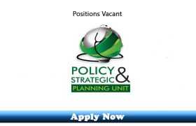 Jobs in Policy & Strategic Planning Unit Punjab 2020