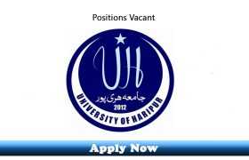 Jobs in The University of Haripur 2019 Apply Now