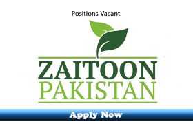 Jobs in Zaitoon Pakistan Pvt Limited 2019 Apply Now