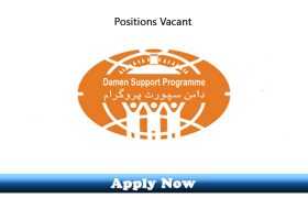 Jobs in Damen Support Programme Lahore 2020 Apply Now