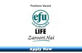 Internships and Jobs in EFU Life Insurance Islamabad and Rawalpindi 2020 Apply Now