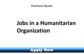 Jobs in a Non-Profit International Humanitarian Organization Quetta 2020 Apply Now