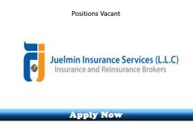 Jobs in Juelmin Insurance Services LLC Dubai 2020 Apply Now