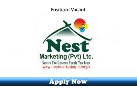 Jobs in Nest Marketing Pvt Ltd 2020 Apply Now