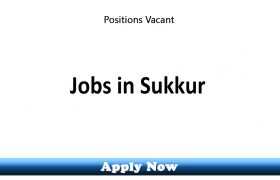 Jobs in Sukkur 2020 Apply Now