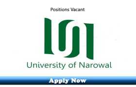 Jobs in The University of Narowal 2020 Apply Now