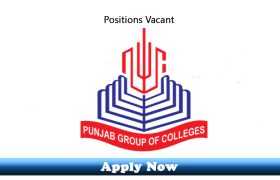 Jobs in Punjab Group of Colleges Liaqatpur 2020 Apply Now