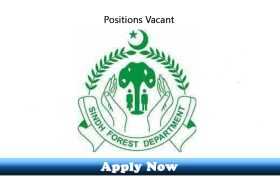 Jobs in Office of the Chief Conservator of Forests Sindh Mangroves and Rangelands Karachi 2020 Apply Now