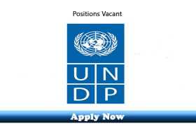 UNDP Jobs 2020