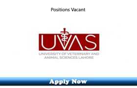 Jobs in University of Veterinary and Animal Sciences Lahore Pakistan 2020 Apply Now