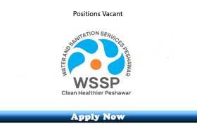 Jobs in WSSP Government of Khyber Pakhtunkhwa 2020