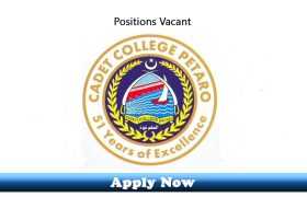 Jobs in Cadet College Petaro 2020 Apply Now