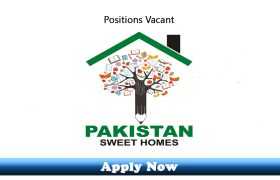 Jobs in Pakistan Sweet Home Cadet College 2020 Apply Now