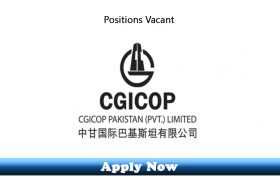 Jobs in CGICOP Pakistan Pvt Ltd 2020