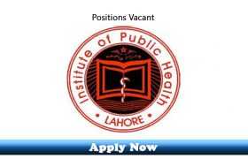 Jobs in Institute of Public Health Lahore 2020 Apply Now