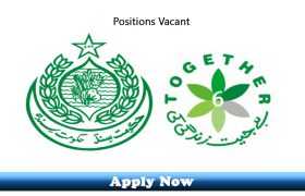Jobs in National TB Program Government of Sindh 2020