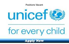 Jobs in UNICEF KPK 2020