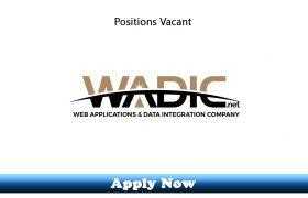 Jobs at WADIC Lahore 2020