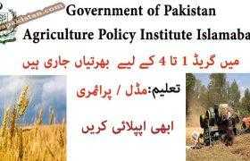 Jobs in Agriculture Policy Institute Islamabad 2020
