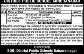 Jobs in District Public School Minchanabad Bahawalnagar 2020