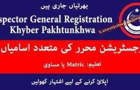 Jobs in the Office of Inspector General Registration KPK 2020