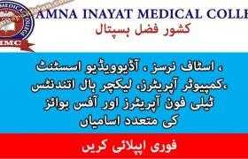 Jobs in Amna Inayat Medical College / Kishwar Fazal Hospital 2020