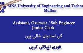 Jobs in MNS University of Engineering and Technology Multan 2020