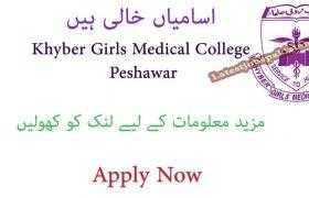Jobs in Khyber Girls Medical College Hayatabad Peshawar 2020