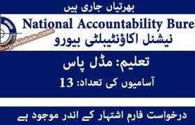 Jobs in National Accountability Bureau NAB Rawalpindi 2020