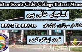 Jobs in Pakistan Scouts Cadet College Batrasi Mansehra 2020