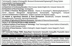 Jobs in University of Agriculture Faisalabad 2020