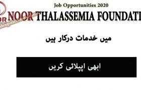 Jobs in Noor Thalassemia Foundation 2020