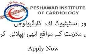 Management Jobs at Peshawar Institute of Cardiology Peshawar 2020