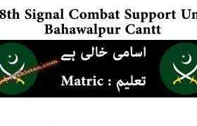 Jobs in 38th Signal Combat Support Unit Bahawalpur Cantt 2020