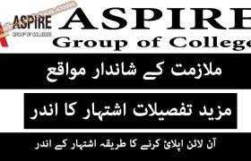 Jobs in Aspire Group of Colleges Dhamyal Campus 2020
