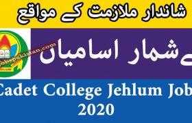 Cadet College Jehlum Jobs 2020