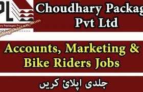 Jobs in Choudhary Packages Pvt Ltd 2020